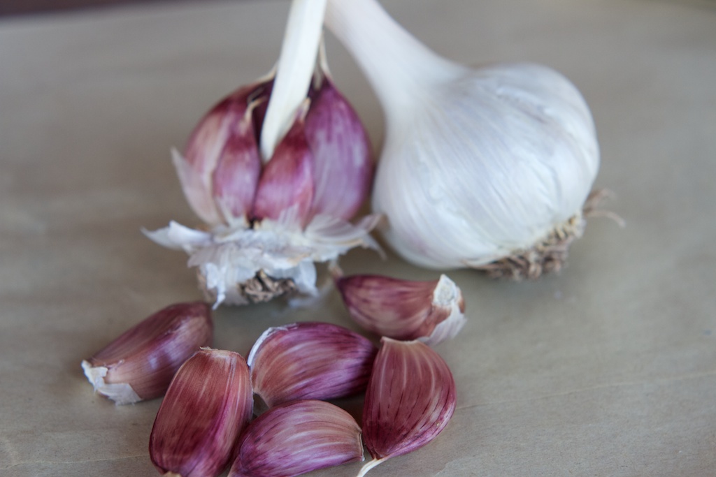 Creole Group garlic